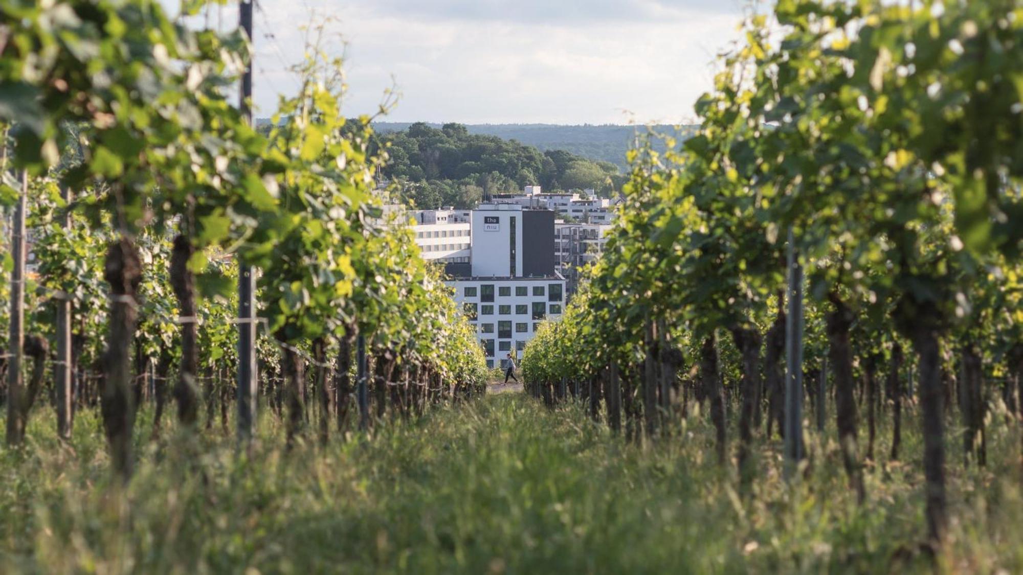 - The Niu, Form Feuerbach By Ihg Hotel