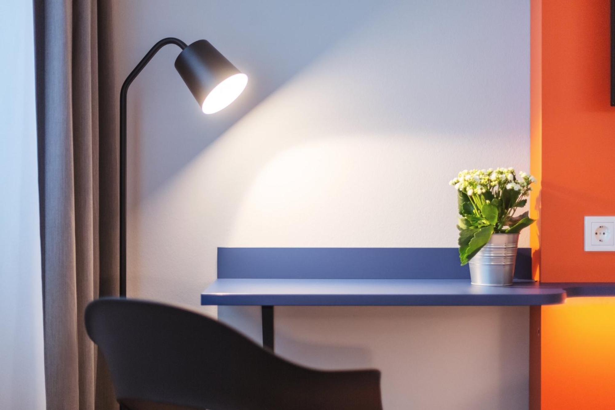- The Niu, Form Feuerbach By Ihg